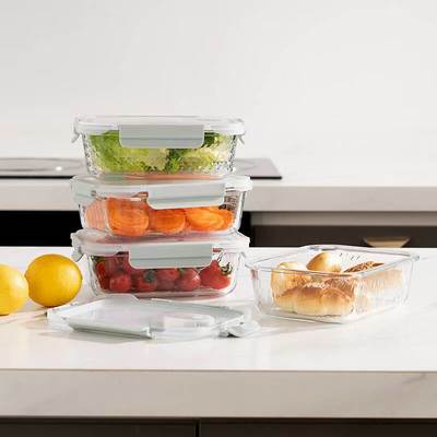 Microwave Oven and Freezer Safe Borosilicate Glass Food Container with Airtight PP Lid