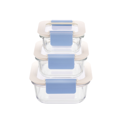 Good price Glass Food Container With 2 Lock PP Glass Lid online