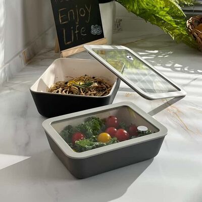 Non-stick Coating Borosilicate Glass Food Container with Airtight Glass Lid - Microwave and Oven Safe