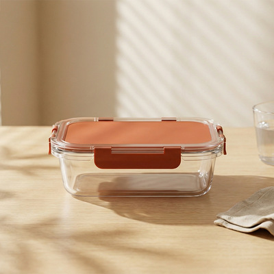 Goede prijs. IKOO Doppellagig glas voedselcontainer met scheiding Online